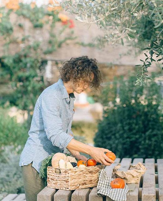 Fresh produce being gathered from a garden