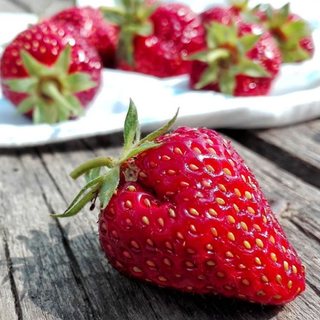 Fresh, ripe strawberries